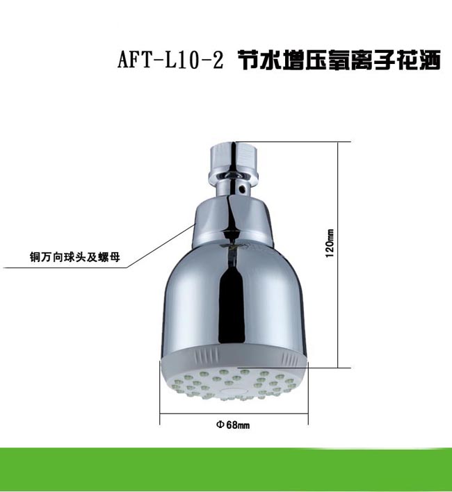 AFT-L10-2  Top Showers